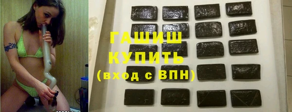 индика Михайловск