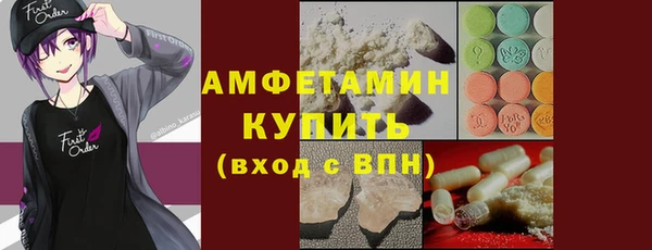 индика Михайловск
