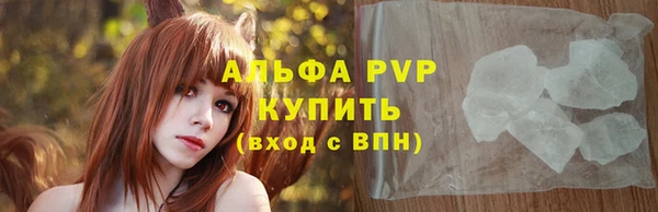 индика Михайловск