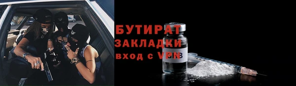 индика Михайловск