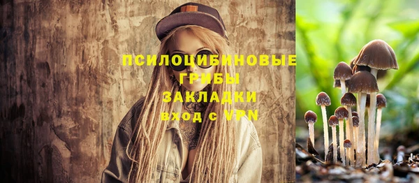 СК Михайловка