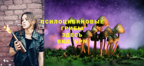 хмурый Михайлов