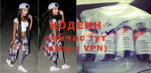 индика Михайловск