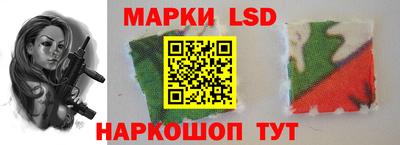 меф Гатчина