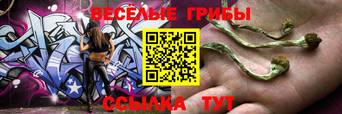 купить закладку  Челябинск  Псилоцибиновые грибы Magic Shrooms 