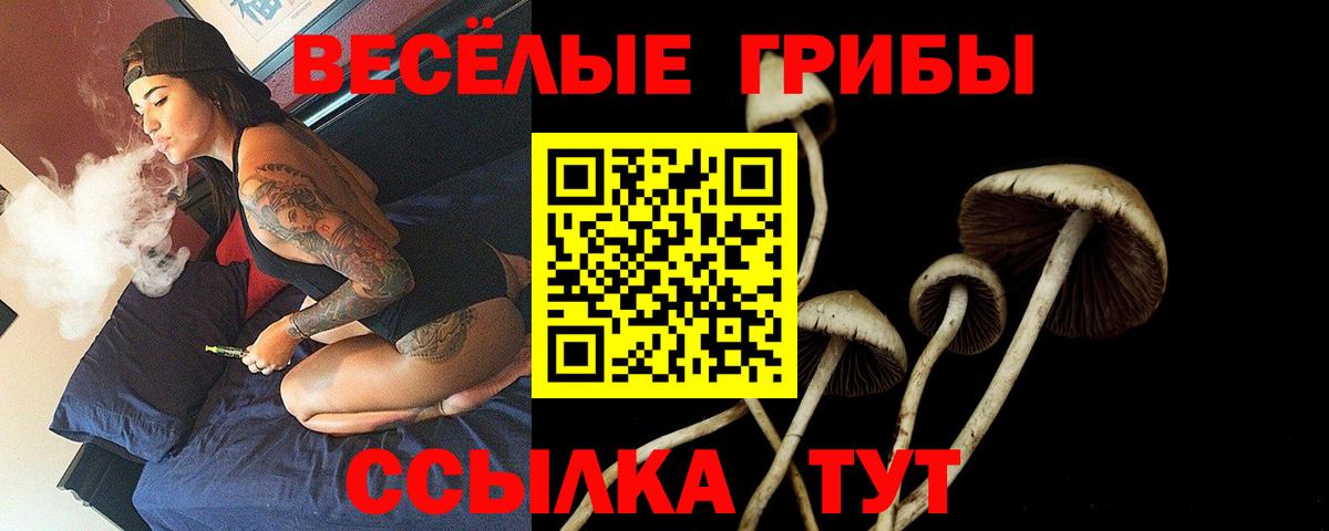 Галлюциногенные грибы GOLDEN TEACHER  Галлюциногенные грибы Magic Shrooms  Вход с VPN  Челябинск 
